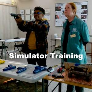 Realistic Simulator Training